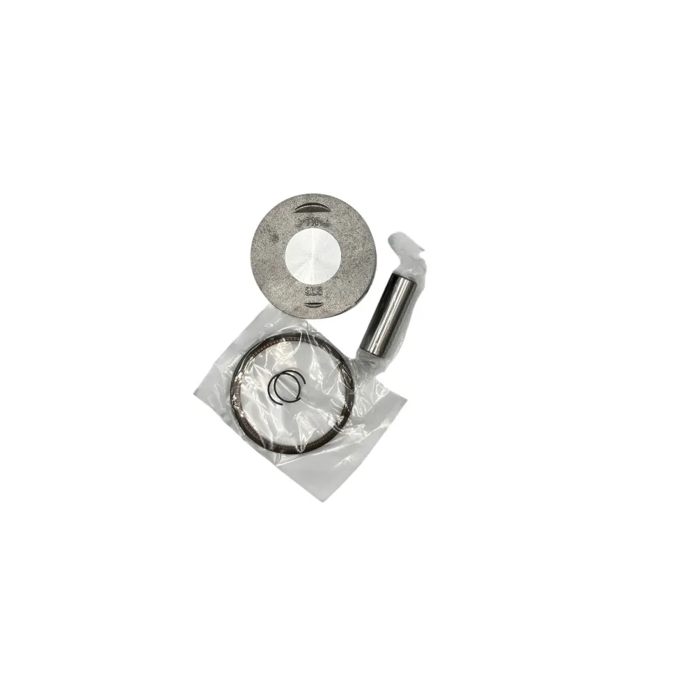 KIT PISTON SEGEMENT thumbnail 1