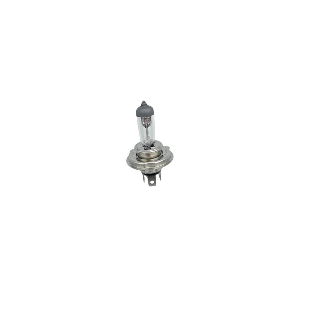 LAMPE DE PHARE MOTO RX1